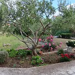 Tomas Apartmán *