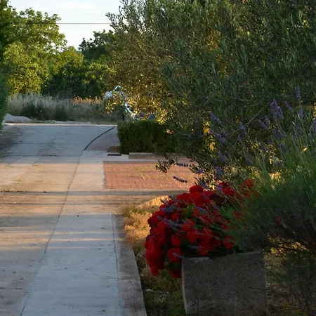 Tomas * Betina (Sibenik-Knin)