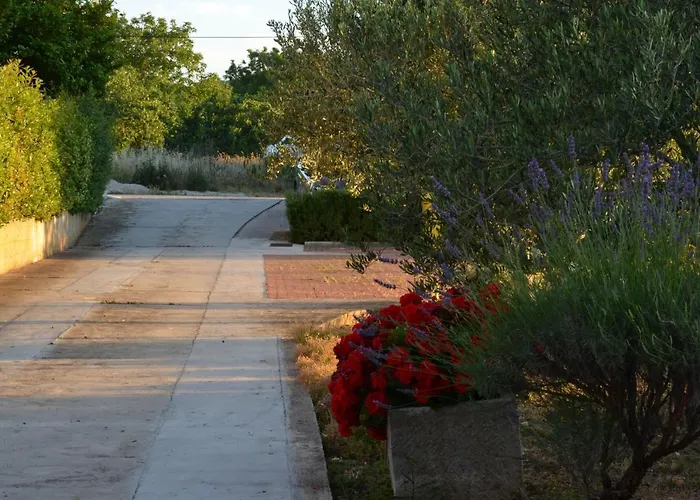 Tomas * Betina (Sibenik-Knin)