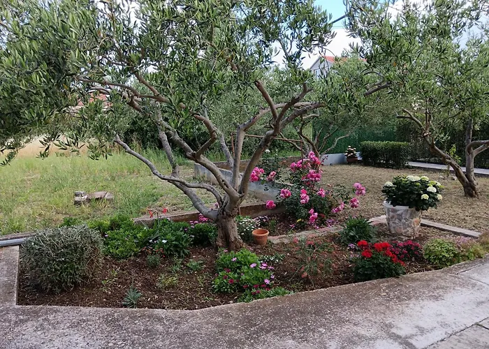 Tomas Betina (Sibenik-Knin)