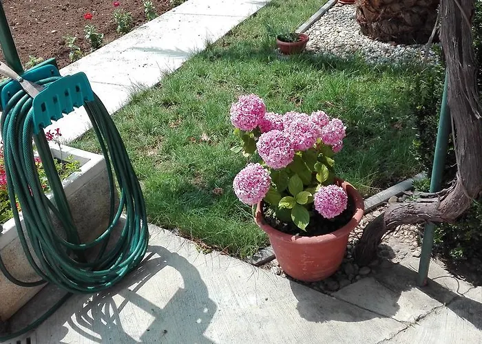 Tomas Betina (Sibenik-Knin)